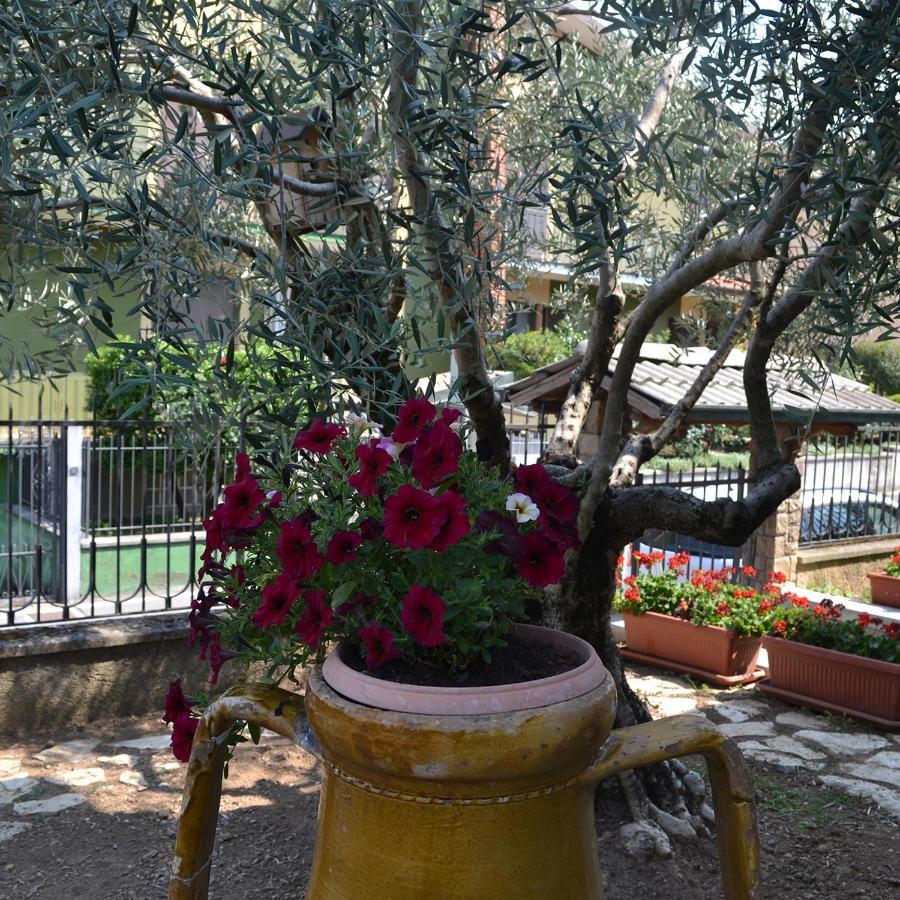 Bed and Breakfast Riflessi D'Arte Provaglio d'Iseo Zewnętrze zdjęcie