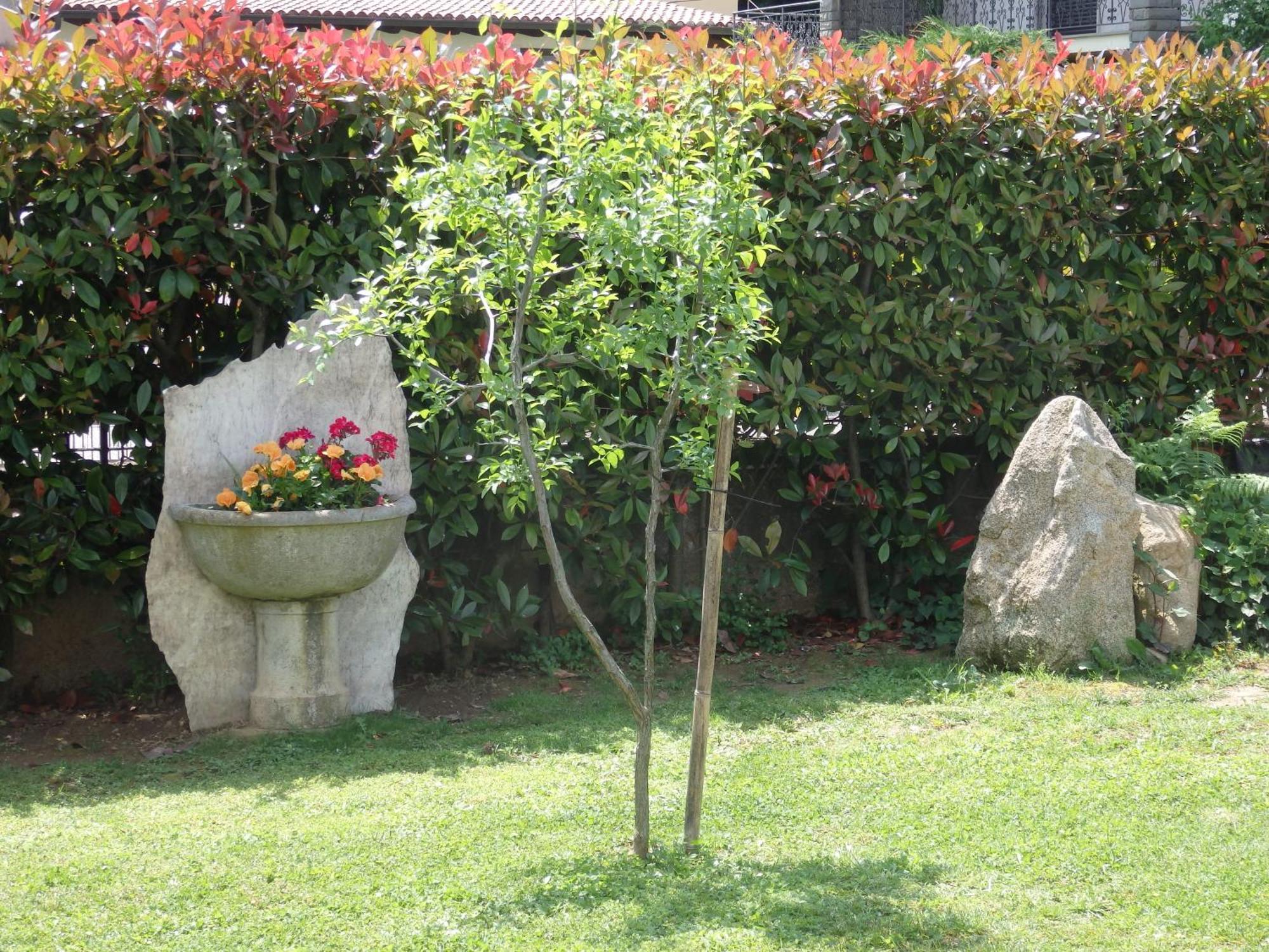 Bed and Breakfast Riflessi D'Arte Provaglio d'Iseo Zewnętrze zdjęcie